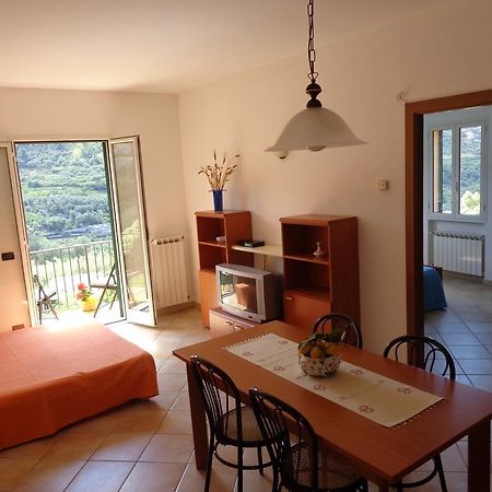 Agriturismo Turlin Vallebona Dış mekan fotoğraf