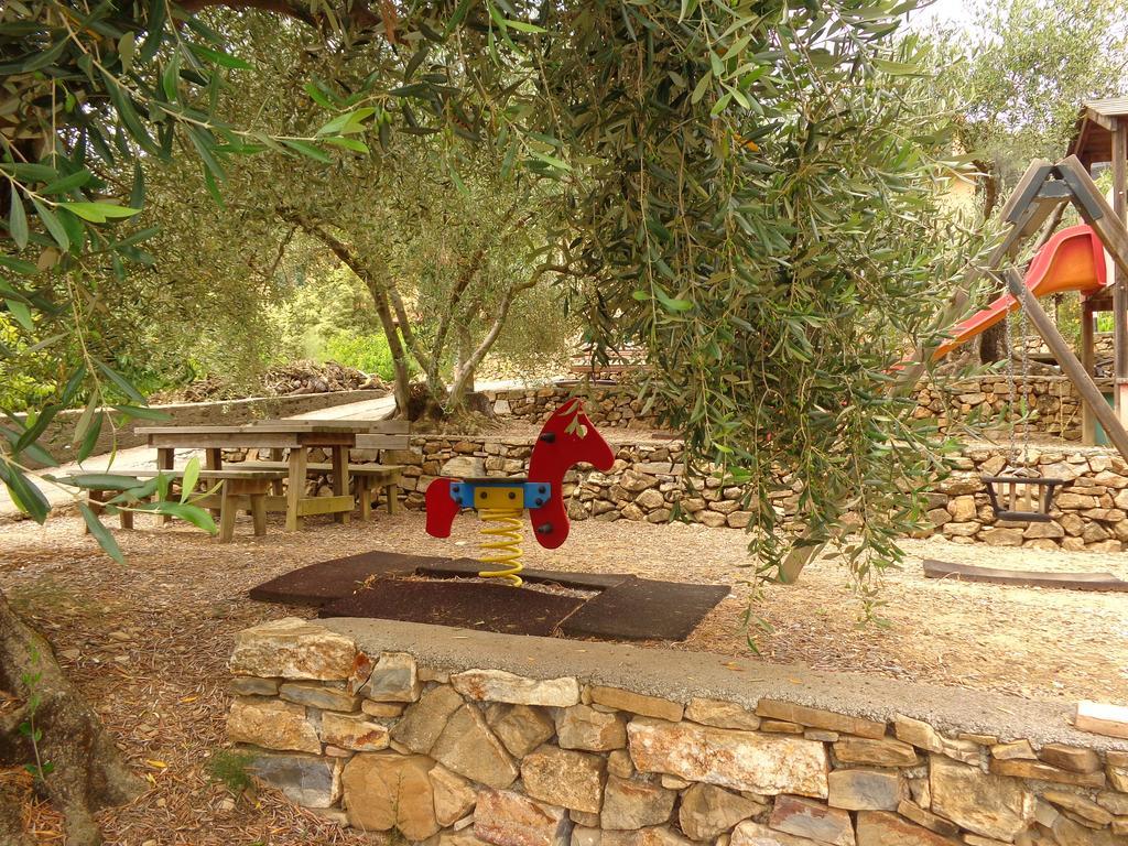 Agriturismo Turlin Vallebona Dış mekan fotoğraf