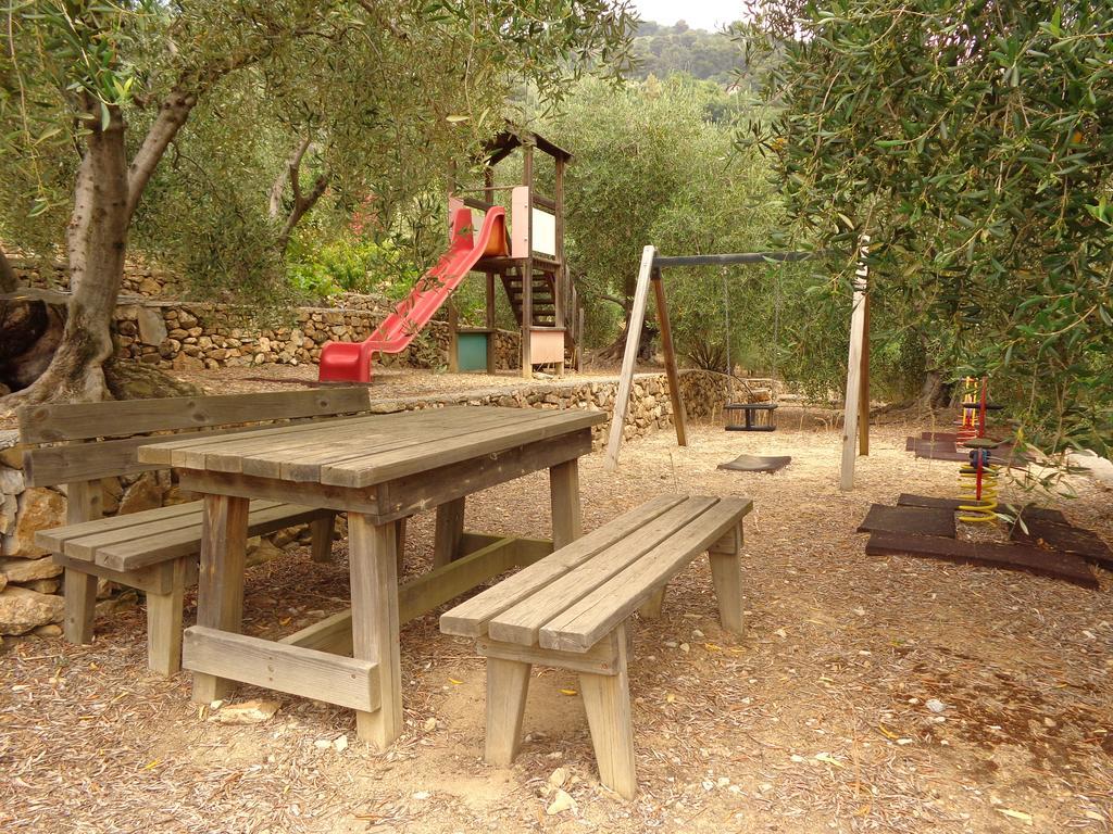 Agriturismo Turlin Vallebona Dış mekan fotoğraf