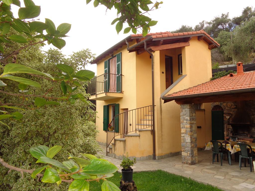 Agriturismo Turlin Vallebona Dış mekan fotoğraf