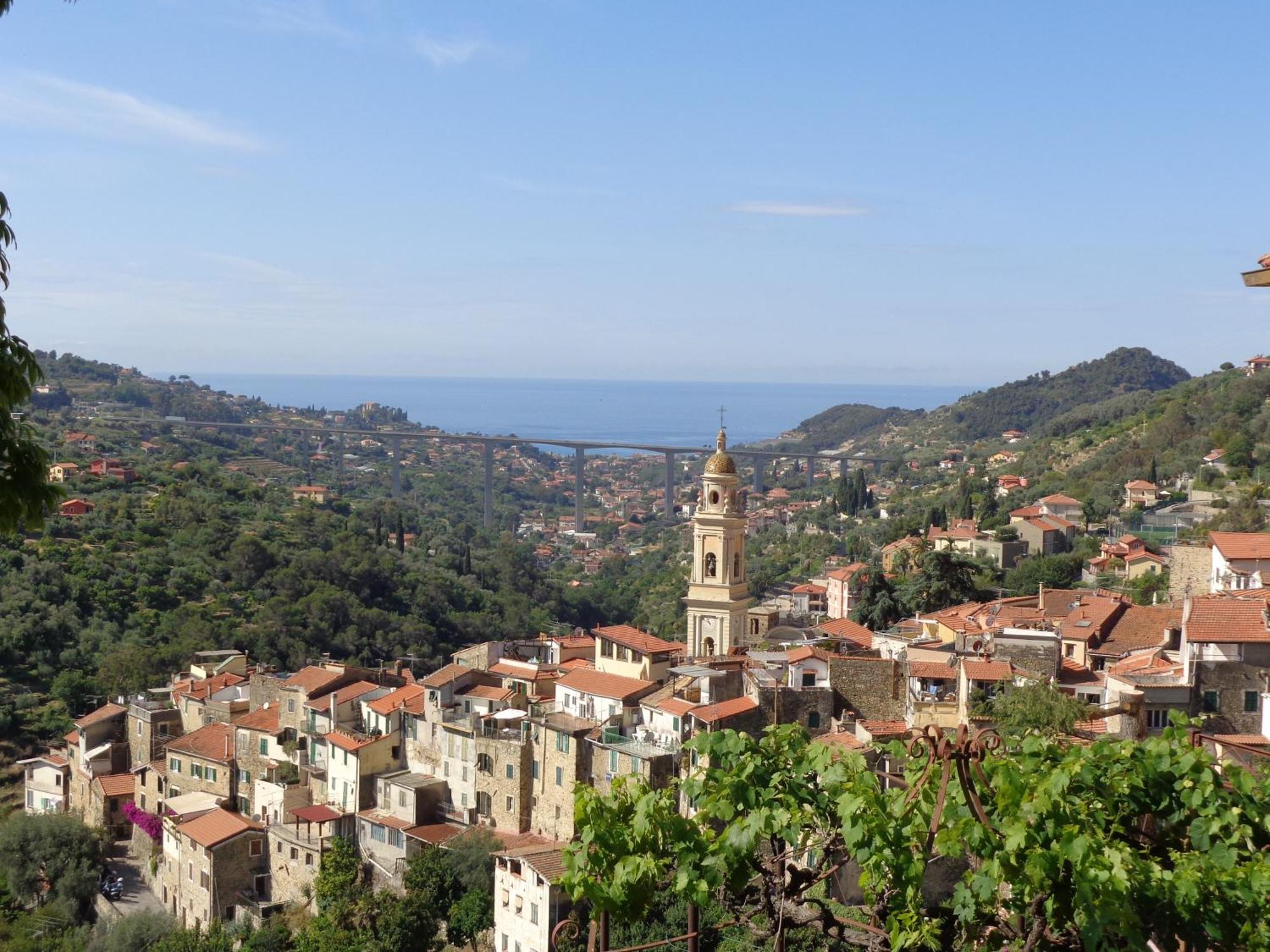 Agriturismo Turlin Vallebona Dış mekan fotoğraf