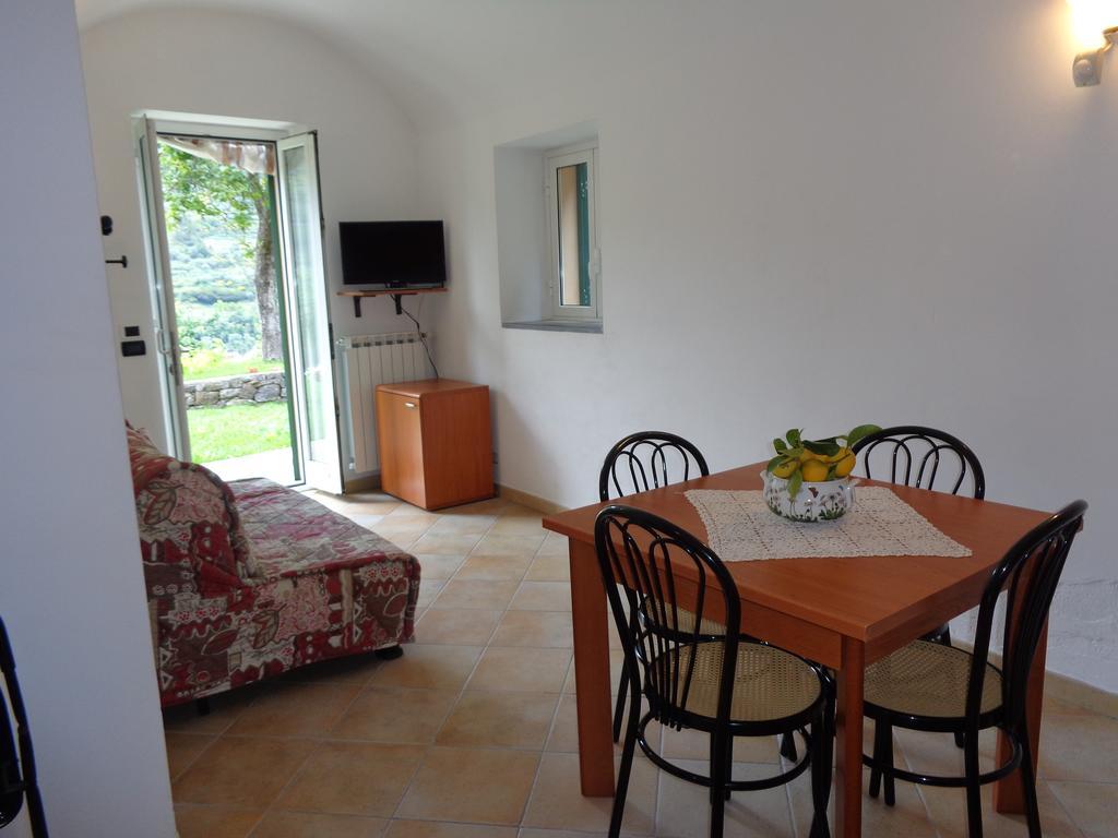 Agriturismo Turlin Vallebona Dış mekan fotoğraf