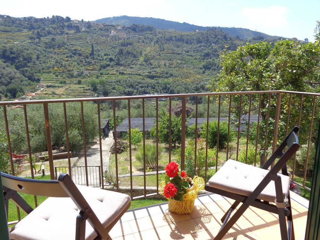Agriturismo Turlin Vallebona Dış mekan fotoğraf