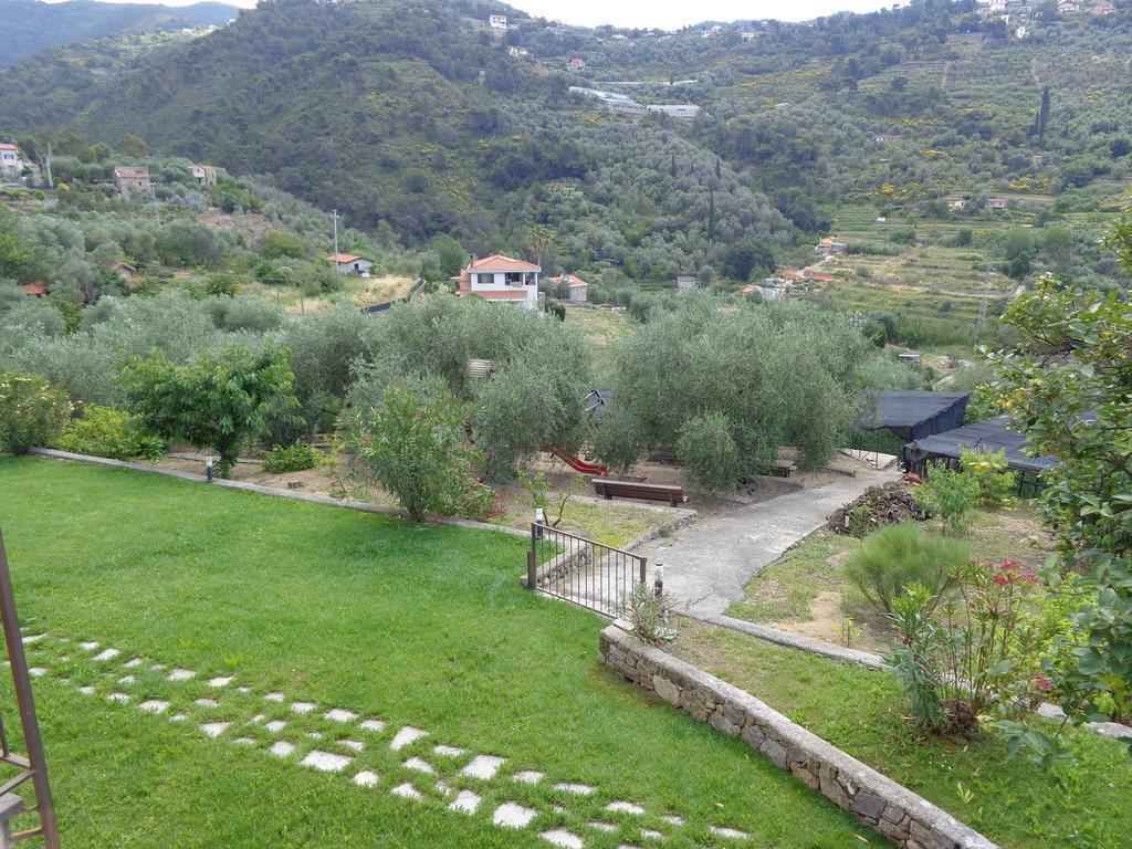 Agriturismo Turlin Vallebona Dış mekan fotoğraf