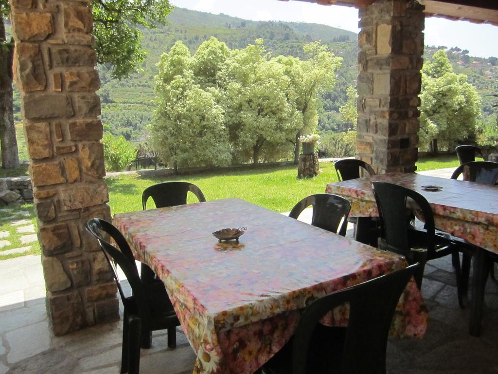 Agriturismo Turlin Vallebona Dış mekan fotoğraf