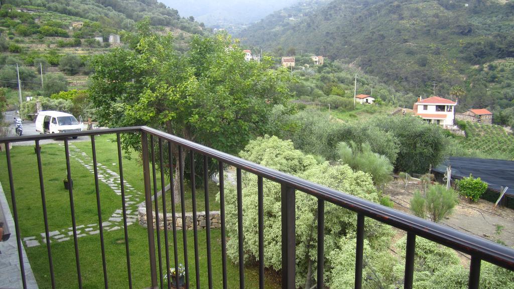 Agriturismo Turlin Vallebona Dış mekan fotoğraf