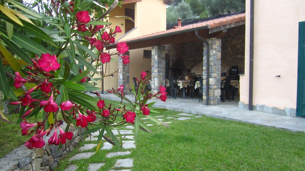 Agriturismo Turlin Vallebona Dış mekan fotoğraf